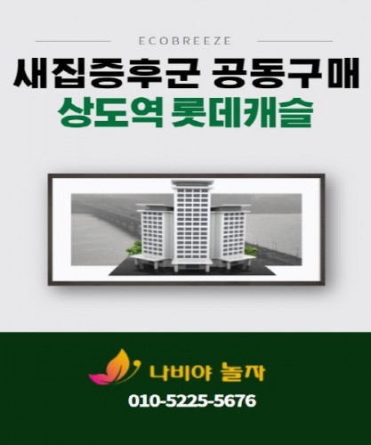 크기변환상도역_롯데캐슬.jpg